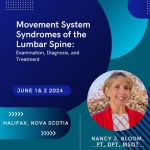 Movement System Syndromes of the Lumbar Spine - Examination, Diagnosis and Treatment