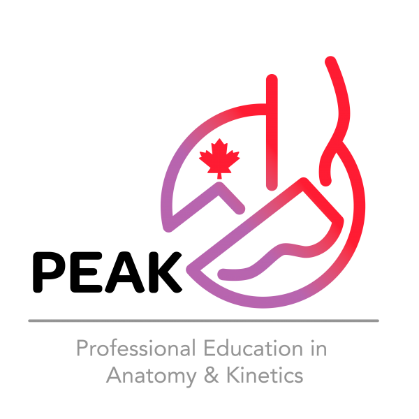Professional Education in Anatomy & Kinetics (PEAK) Workshop - Upper Extremity