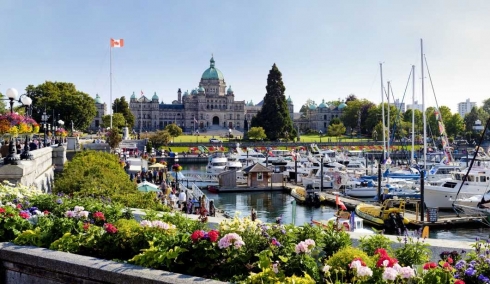 Physiotherapy Practice and Office for SALE - downtown Victoria BC