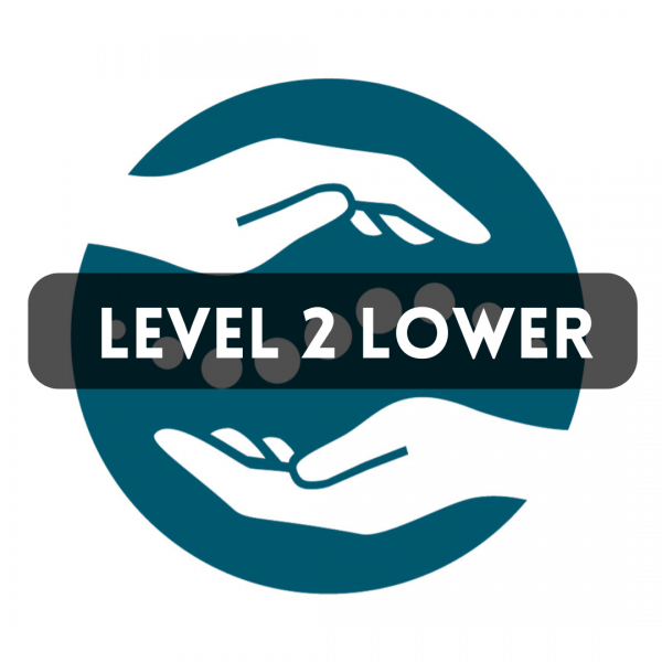 AIM Level 2 Lower Quadrant